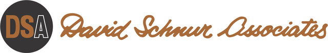 David Schnur Associates (DSA)